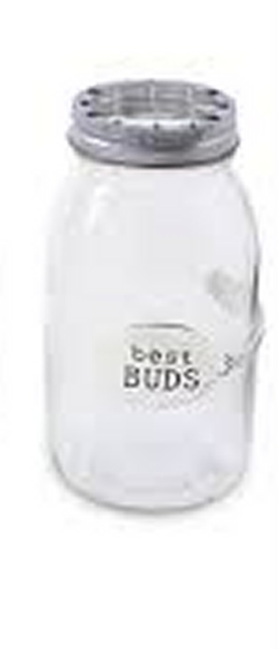 "Best Buds" Mason Jar Vase